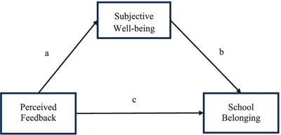 Perceived feedback and school belonging: the mediating role of subjective well-being